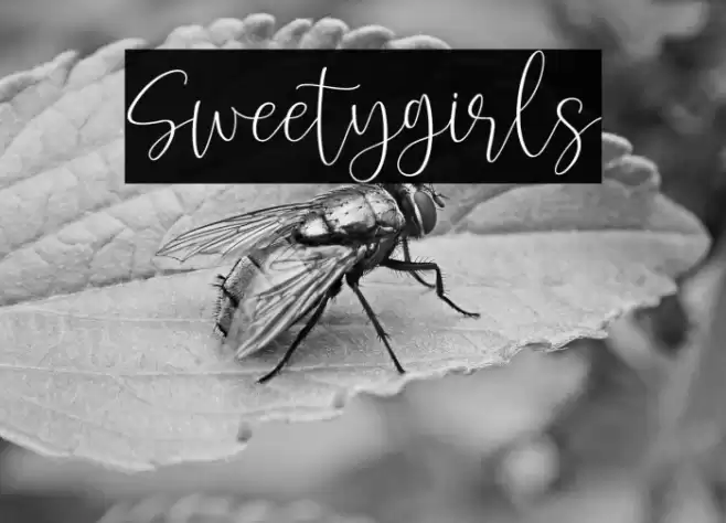 Sweetygirls Font examples