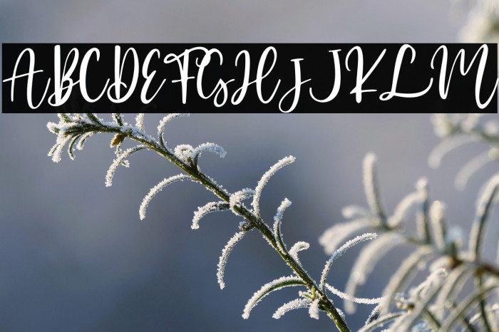 Sweetyoung - Personal Use Example 2