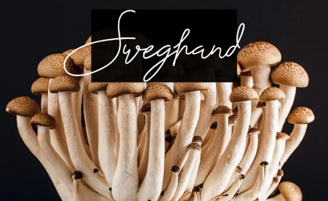 Sweghand Example 2