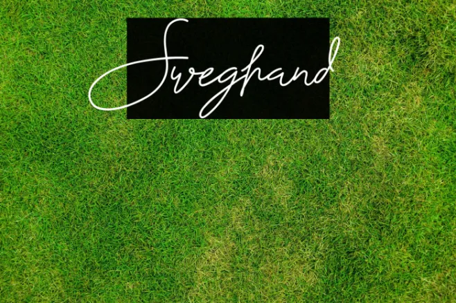 Sweghand Example 3