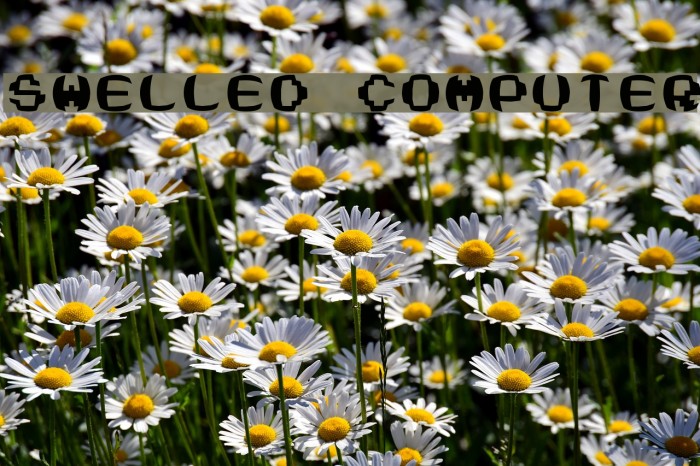 Swelled Computer Font examples