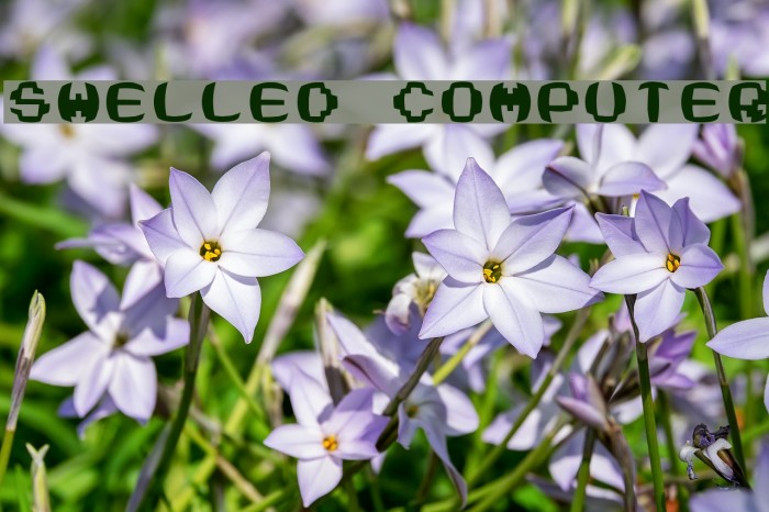 Swelled Computer Font examples