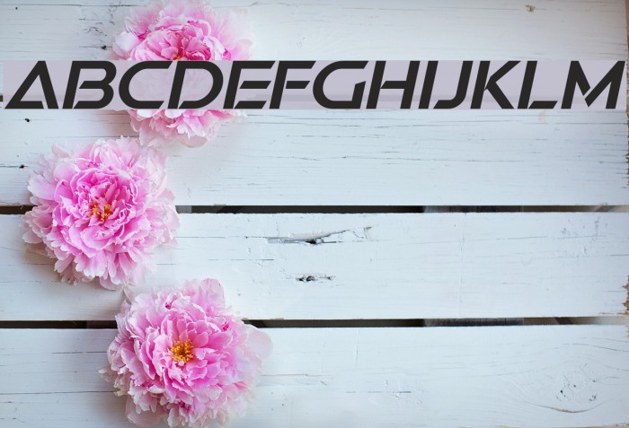 Swera Demo Italic Font examples