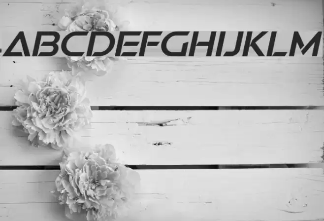 Swera Demo Italic Font examples