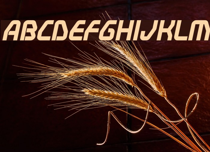 Swerve BoldItalic Font examples