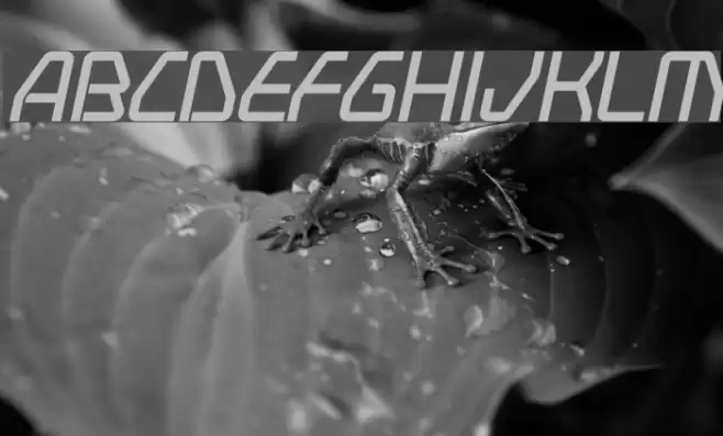 Swerve Italic フォント examples