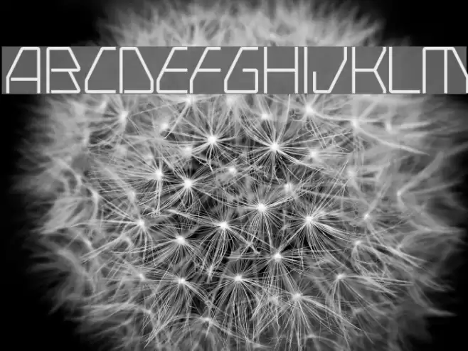 Swerve  Light Font examples