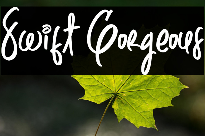 Swift Gorgeous Example 1