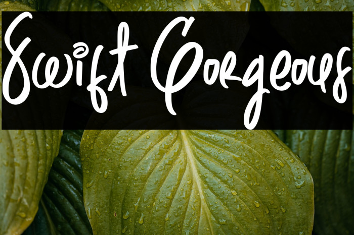 Swift Gorgeous Example 2