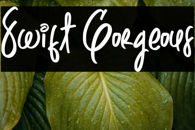 Swift Gorgeous Example 2