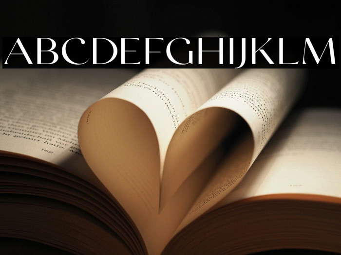 SwiftedDEMO Example 2