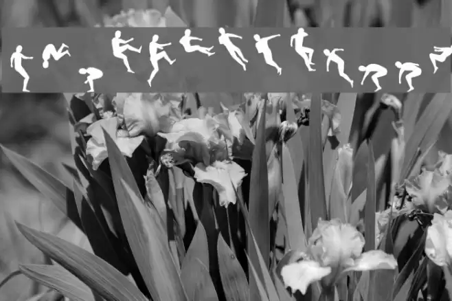 Swifty Font examples