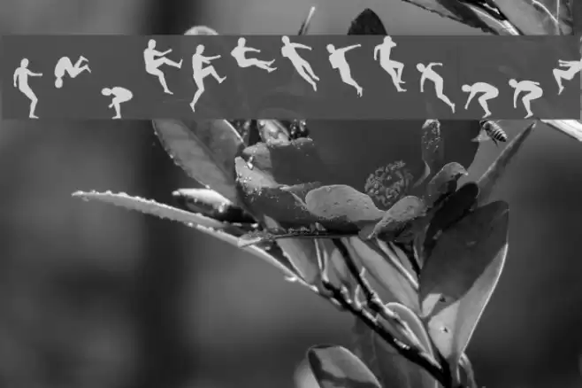 Swifty Font examples