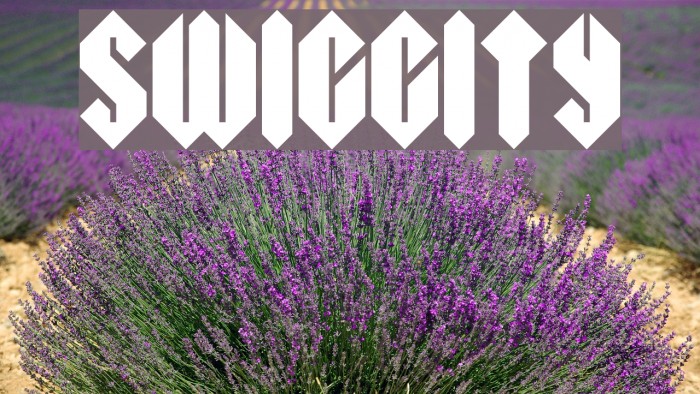 Swiggity Font examples