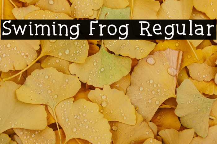 Swiming Frog Regular Example 2