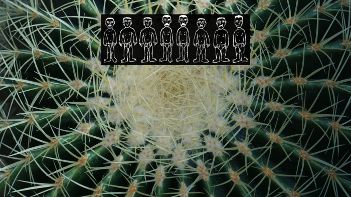 Swimmers Regular Example 1