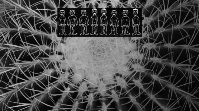 Swimmers Regular Font examples