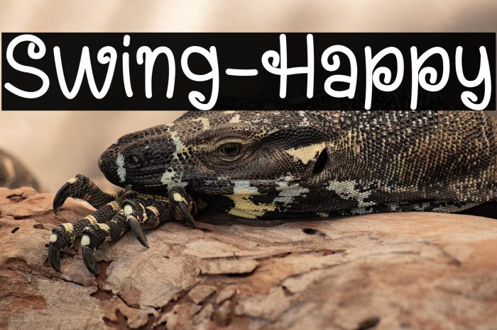 Swing-Happy Example 1