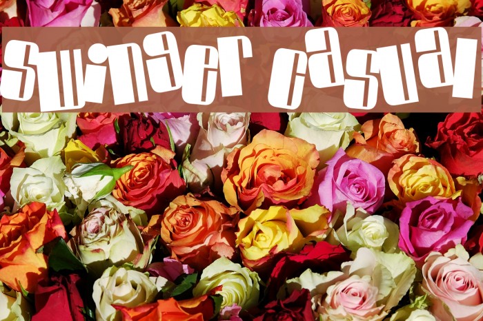 Swinger Casual Font examples