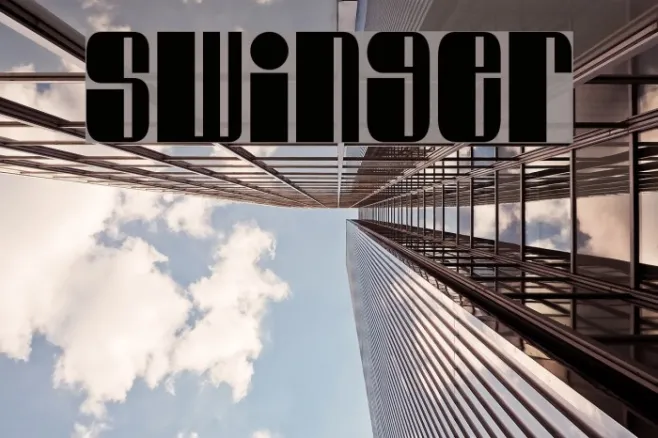 Swinger Example 1