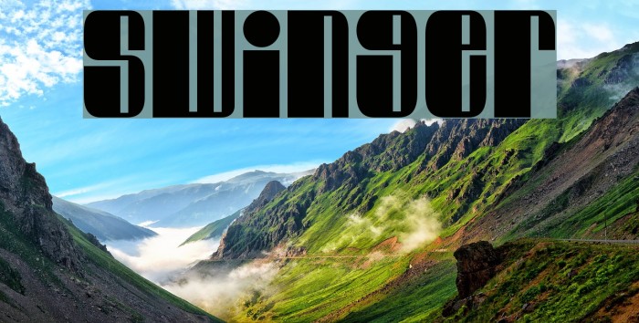 Swinger Font examples