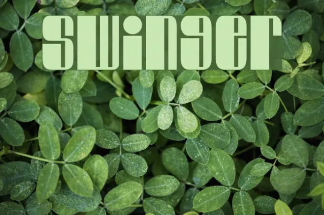 Swinger Example 3