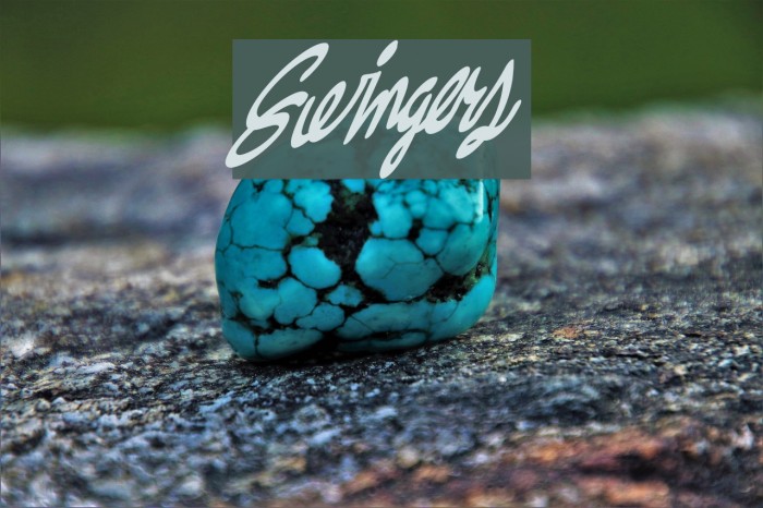 Swingers Font examples