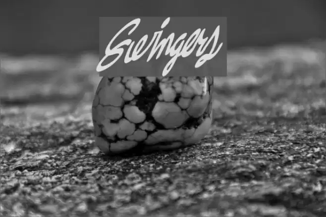 Swingers Fuentes examples