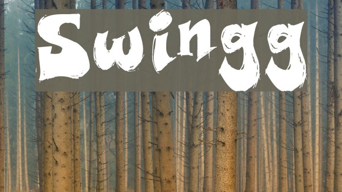 Swingg Font examples