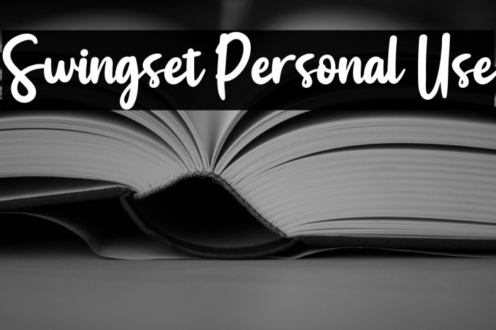 Swingset Personal Use Example 3