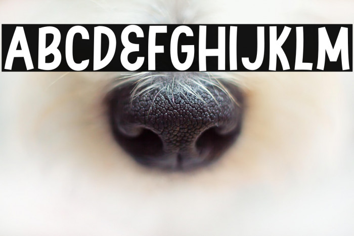 Swingsnug Bold Example 1