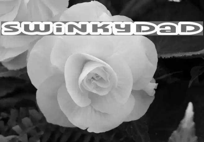 Swinkydad Font examples