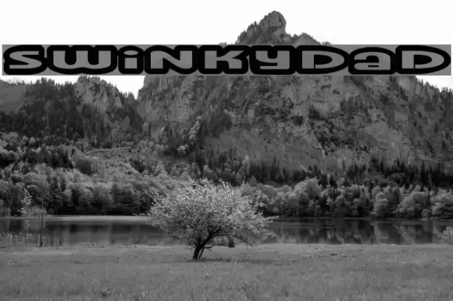 Swinkydad Font examples