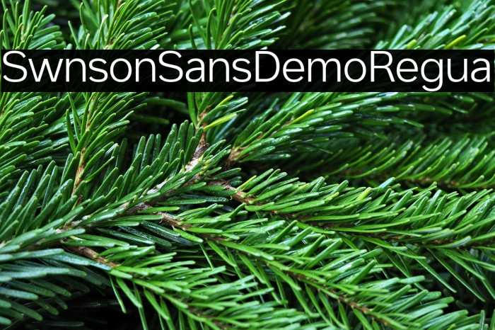 Swinston Sans Demo Regular Example 2