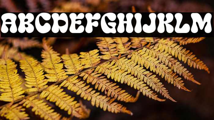 Swipe DEMO Example 2