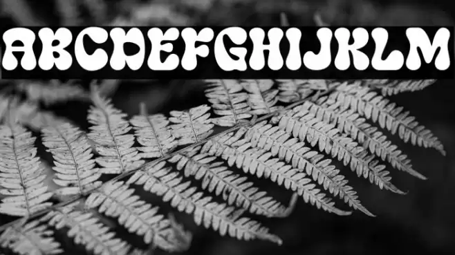 Swipe DEMO Font examples