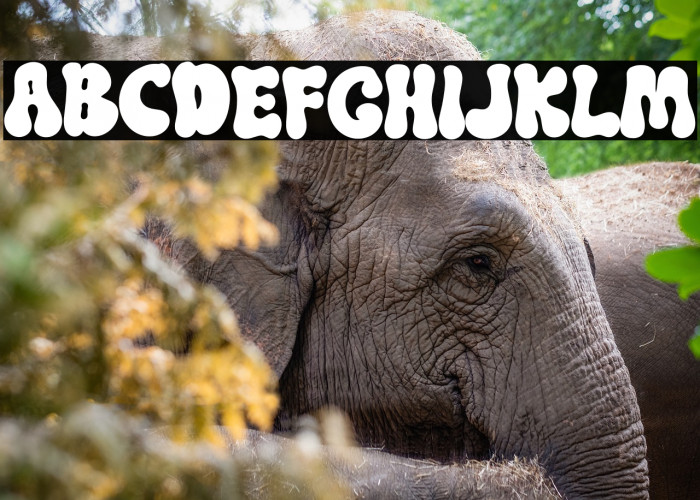 Swipe Soul Example 2