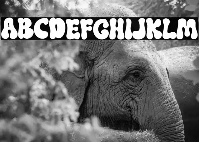 Swipe Soul フォント examples