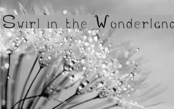 Swirl in the Wonderland Font examples