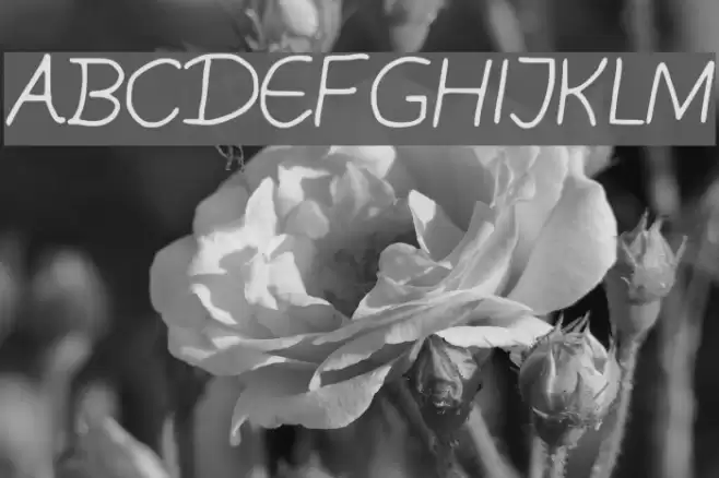 Swirl_ Font examples