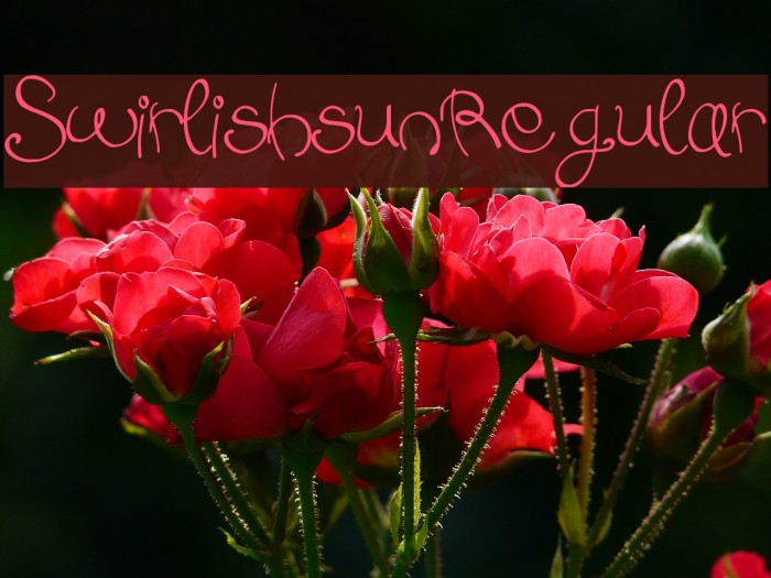 Swirlish_sun_Regular Font examples