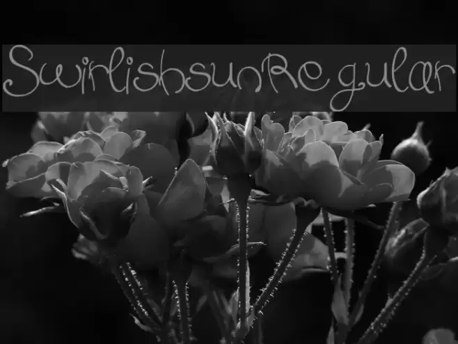 Swirlish_sun_Regular Font examples