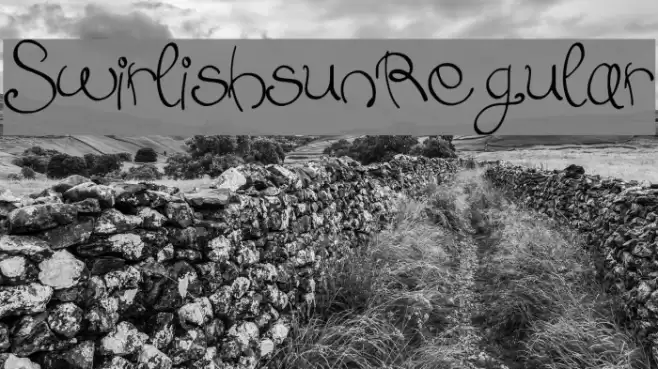 Swirlish_sun_Regular Font examples