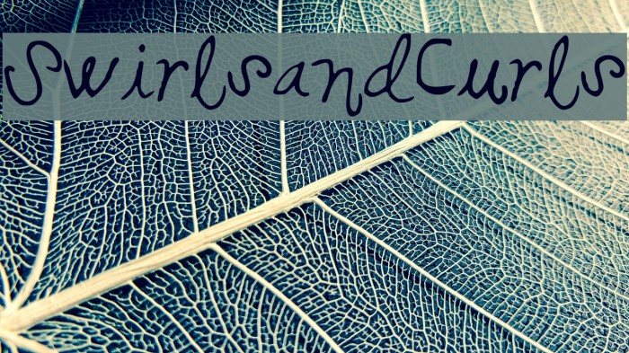 SwirlsandCurls Example 2