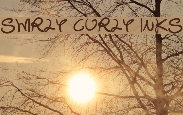 Swirly Curly Inks Font examples