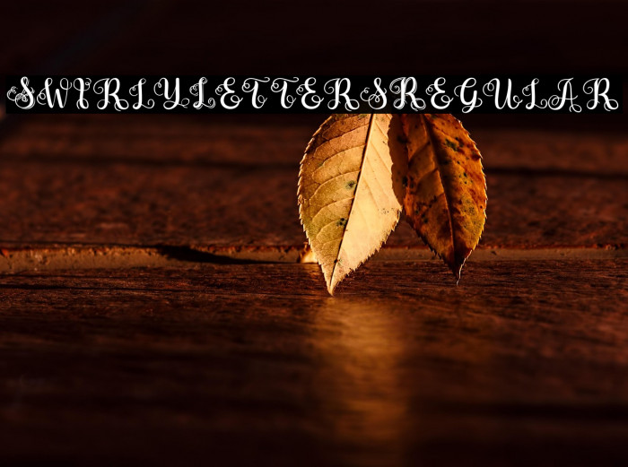 SwirlyLettersRegular Example 3