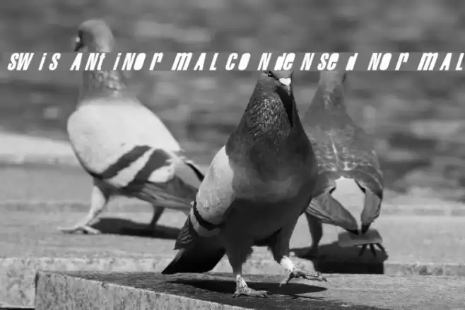 Swis AntiNormal Condensed Normal Font examples