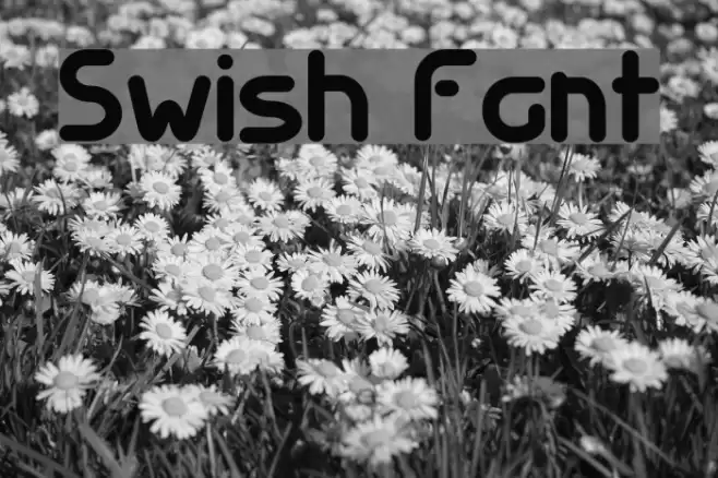 Swish Font examples