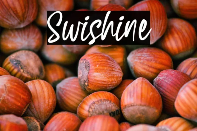 Swishine Example 2