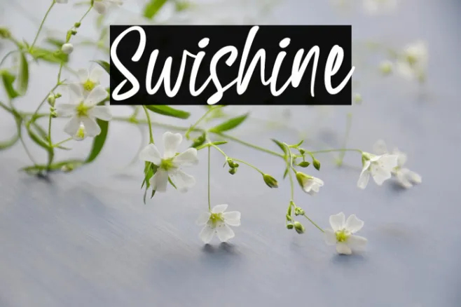 Swishine Example 3